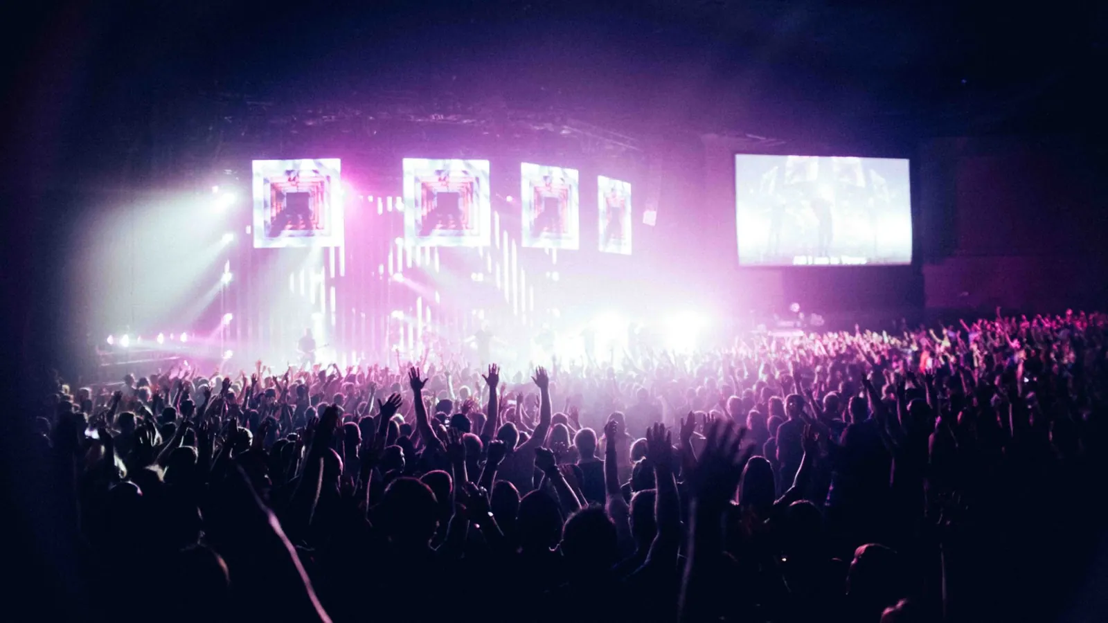 Events & launches